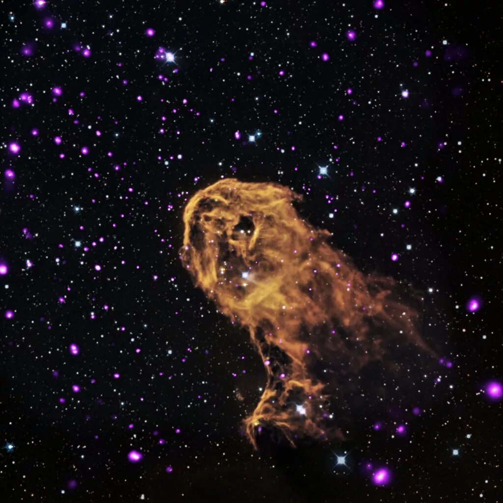 Туманность ic 1396. Созвездие Льва. Космический Лев. Космос Созвездие Льва. Лев на звездном небе
