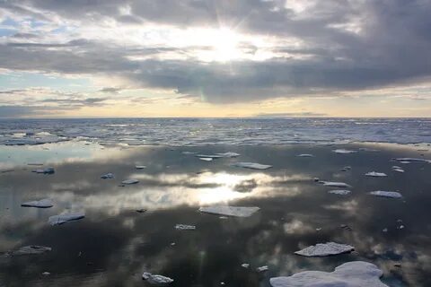 Тихий океан чукотское море