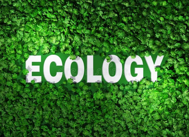 Экология слова. Экология надпись. Экология надпись красивая. Надпись слова экология. Экологические тексты на английском