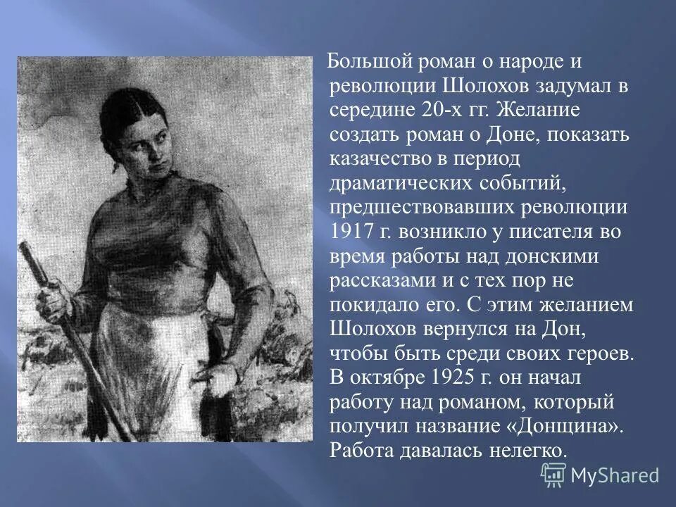 Тихий Дон 1917. Казаки тихий Дон Шолохова. Революция 1917 тихий Дон. Казачество и революция в романе тихий Дон. Революция в романе шолохова тихий дон