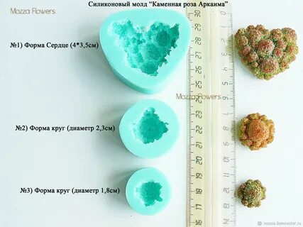 Прогноз молде