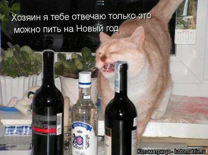 Включи я хозяин