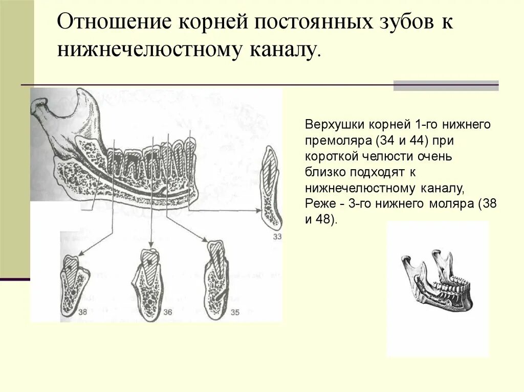 Непрерывно корень