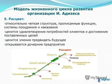 Жизненный цикл компании по адизесу