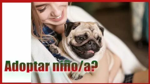 Сколько лет живут мопсы