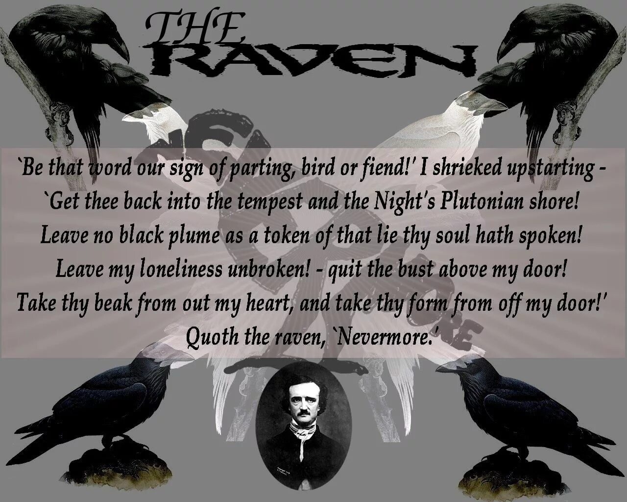 Raven poe. Edgar Allan Ravens. The Raven Edgar Allan POE. Edgar POE Raven.