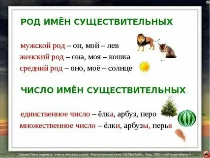 Имя это какой род существительного