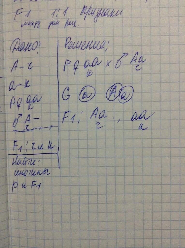 Родословная по генетике схема: Презентация "Решение генетических задач по схемам