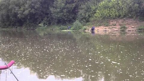 Рыбалка на пахре