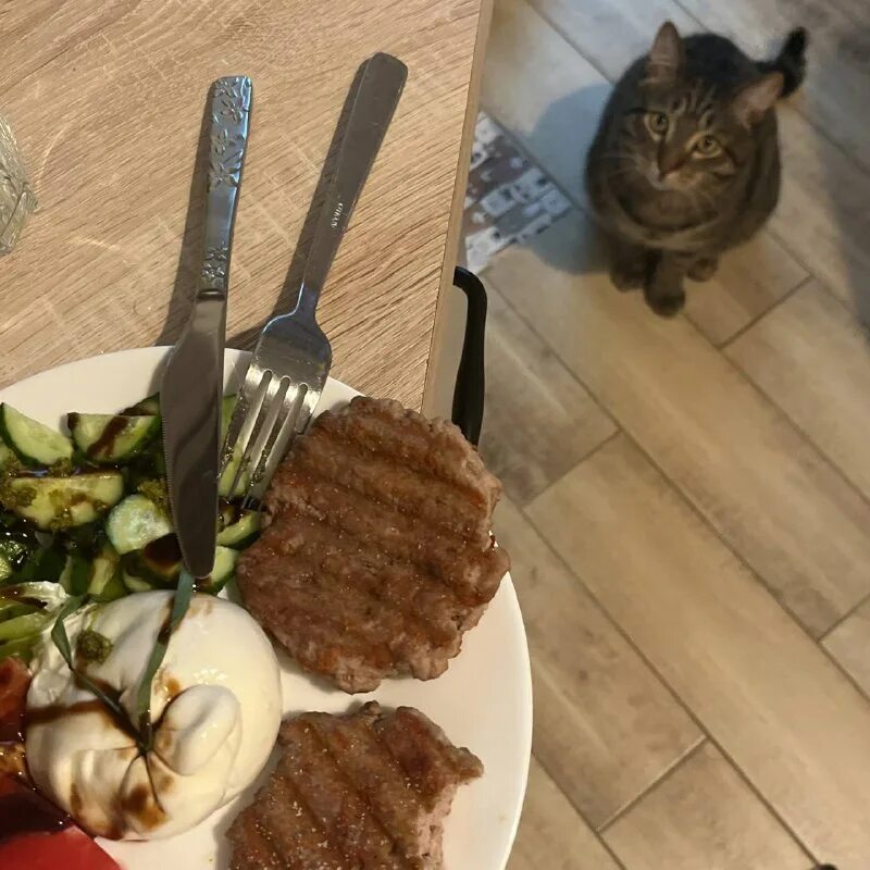 кошачий корм вискас. корм сухой д/кошек whiskas паштет с лососем 350г 9шт/уп. лакомство для кошек dreamies с уткой 60 г. корм вискас 350г говядина. кот хлеб.