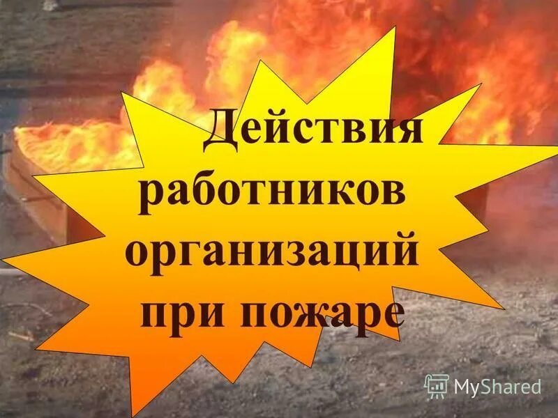 Пожар в силинском лесу в комсомольске на амуре. Заметив возгорание немедленно вызывайте пожарных. Немедленно вызовите пожарных. Если вдруг пожар возник. Заметив возгорание немедленно вызывайте пожарных.