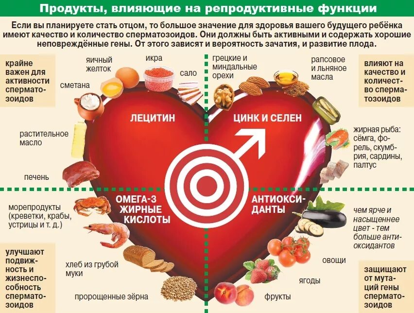 Продукты влияющие на репродуктивные. Продукты для улучшения спермограммы. Что полезно для здоровья. Продукты полезные для здоровья мужчин.