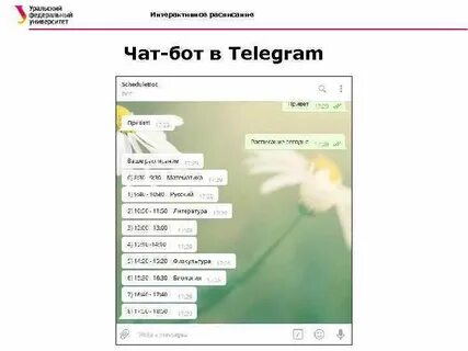 Чат расписание