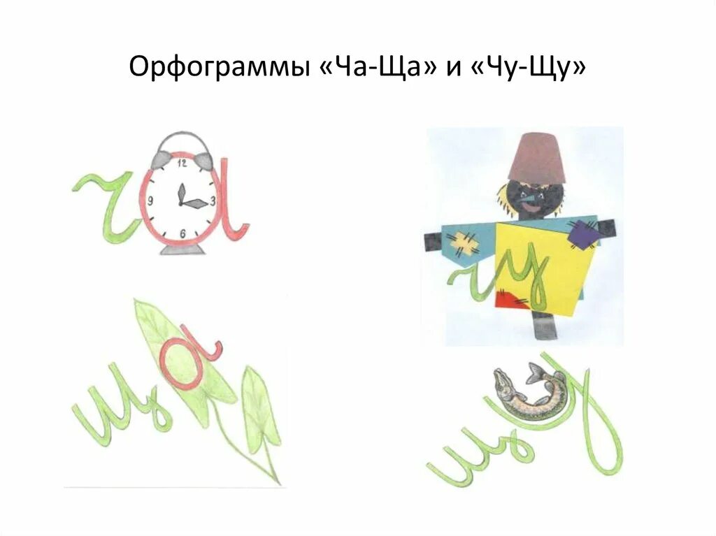 Картина орфограмма. Орфограммы. Орфограмма рисунок. Проект орфограммы в рисунках. Орфограмма картинка.