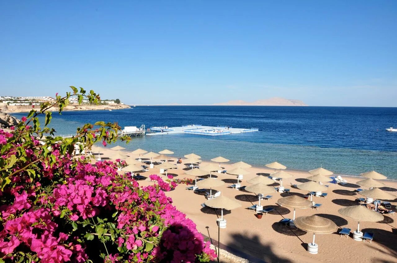 Bay beach resort 5. Египет отель домина Оазис. Домина Корал Оазис Шарм-Эль-Шейх. Отель domina Coral Bay Oasis 5. Отель domina Coral Bay Шарм-Эль-Шейх.