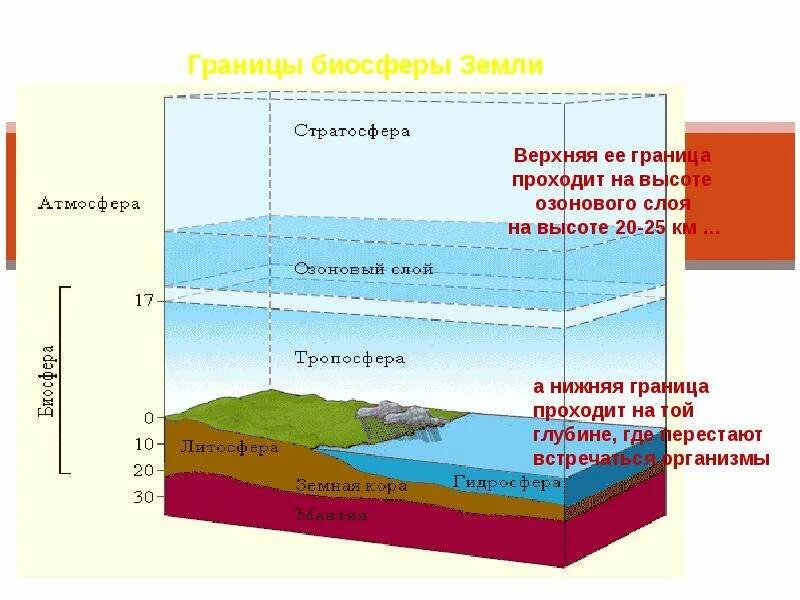 Биосфера сообщение по географии. Верхняя граница биосферы. Границы биосферы презентация. Биосфера земли кратко. Схема границы биосферы 6 класс.