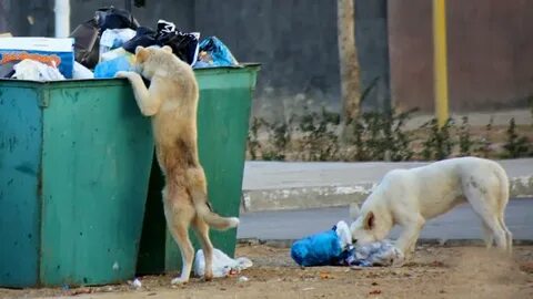 Ольга Куриленконың қатысуымен фильмдердегі секс көріністерін қараңыз.