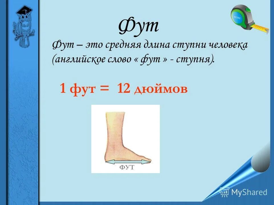 Фут описание