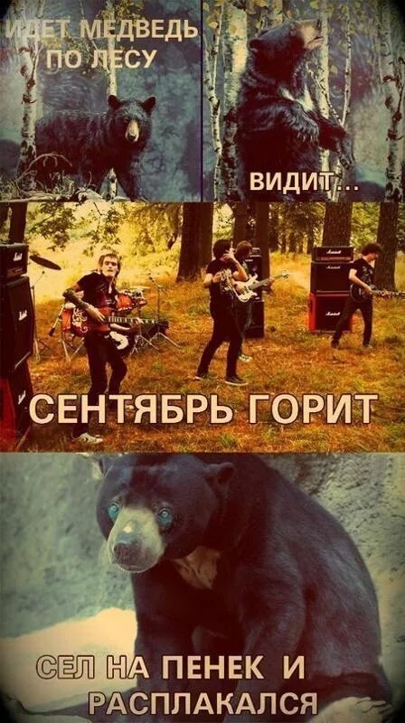 Гори сентябрь текст. Сентябрь горит. медведь идет по лесу. сентябрь горит мем. сентябрь горит 2007.