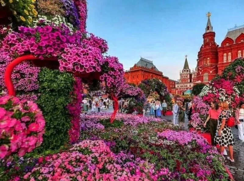 музей геологии в москве на манежной площади. самые красивые цветы для сада. сады москвы 2023. японский сад в главном ботаническом саду им. сады москвы 2023.