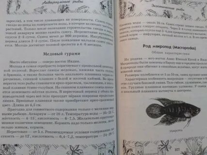 Читать книгу рыбка