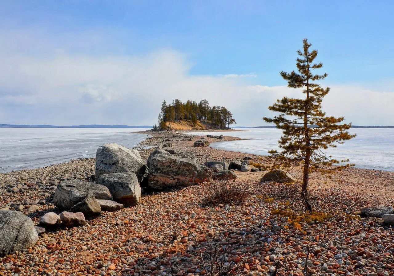 Кандалакша залив белого моря. Кандалакшский берег. Кандалакшский залив белого моря. Кандалакшский заповедник белое море. Белое море кандалакша.