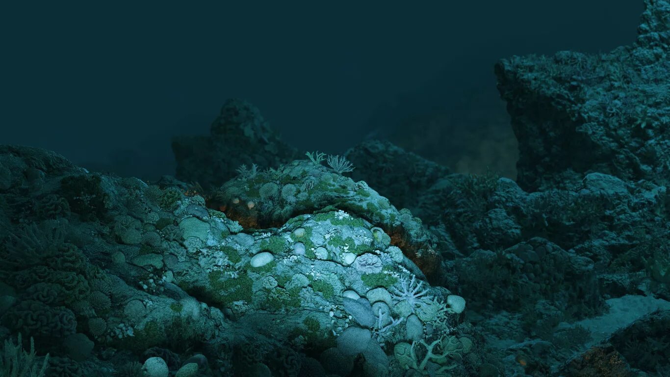 I i follow deep sea