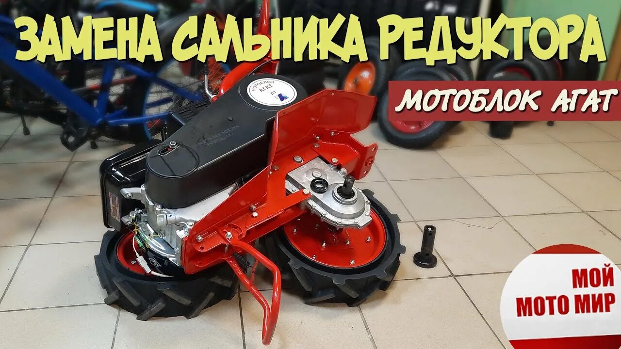 Редуктор мотоблока салют агат. Редуктор агат/ салют-100. Мотоблок агат сальник редуктора. Салют 5с мотоблок сальники редуктора.