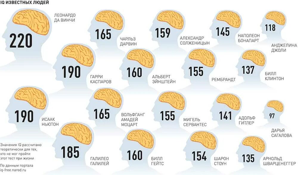 Айкью детей 11 лет