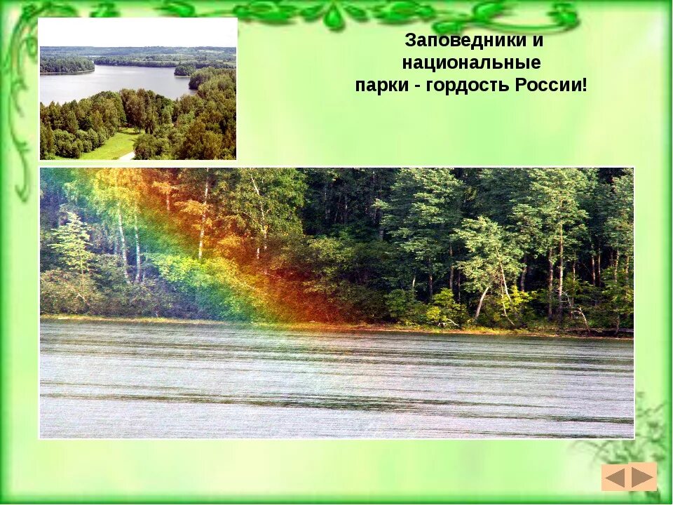 Заповедники национальные парки есть в вашем крае. Лосиный остров балашиха заповедник. Заповедник национальный парк. Заповедники национальные парки есть в вашем крае. Национальный парк лосиный остров рассказ.