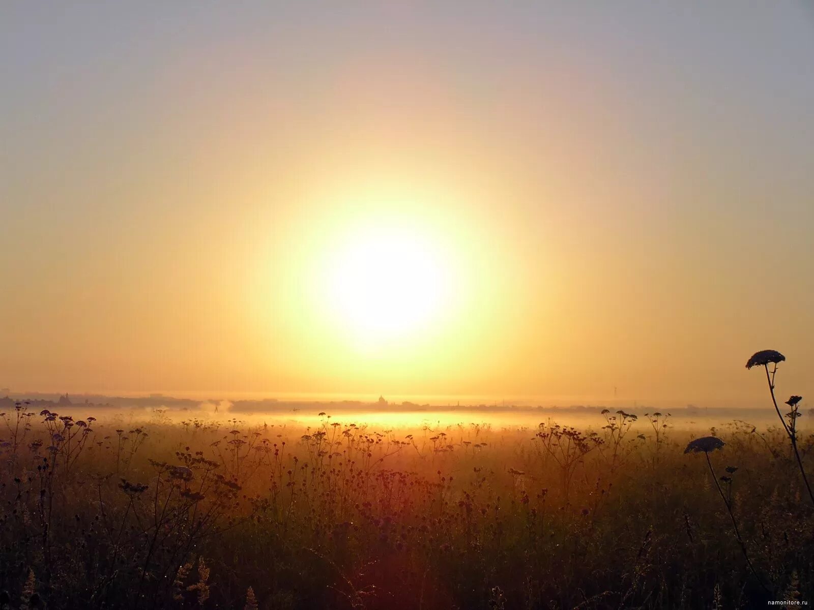 Look the sun shine. Утренний рассвет. Утренний рассвет солнце поднималось. Созерцание рассветного солнца. Коловрат пейзаж.
