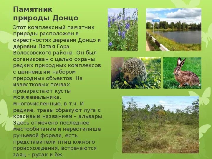 буклет заповедника. особо охраняемые природные территории. 33 об особо охраняемых природных. фз об оопт. фз об оопт книга.