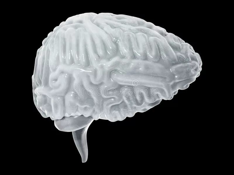 Заморозка мозга. Мозги человека замороженные.