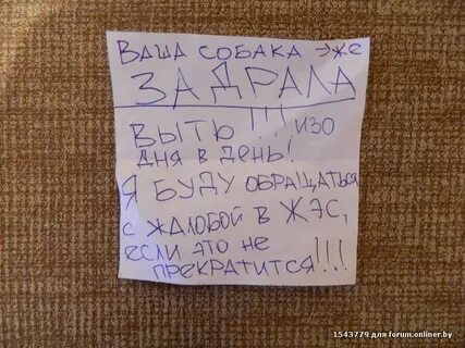 Соседская собака постоянно лает мешает спать