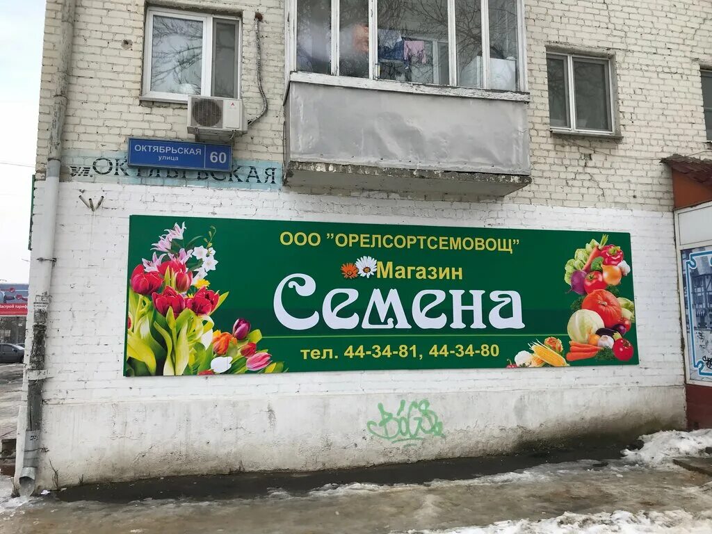 Магазин семян вывеска. Магазин семена. Магазин семена вывеска. Реклама магазина семян.