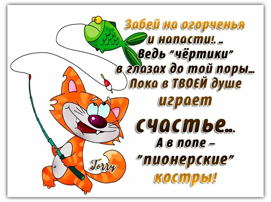 А нет забей. Забей на огорченья и напасти. открытка забей!. картинка забить на все. забей на всё картинки.
