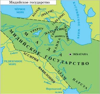 Где находилась мидия
