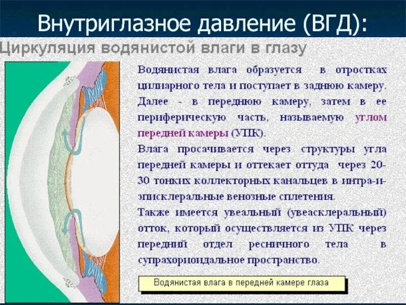Высокое глазное давление. Внутреннее глазное давление. повышение офтальмотонуса механизм развития. внутриглазное давление симптомы у взрослых. виды внутриглазного давления.