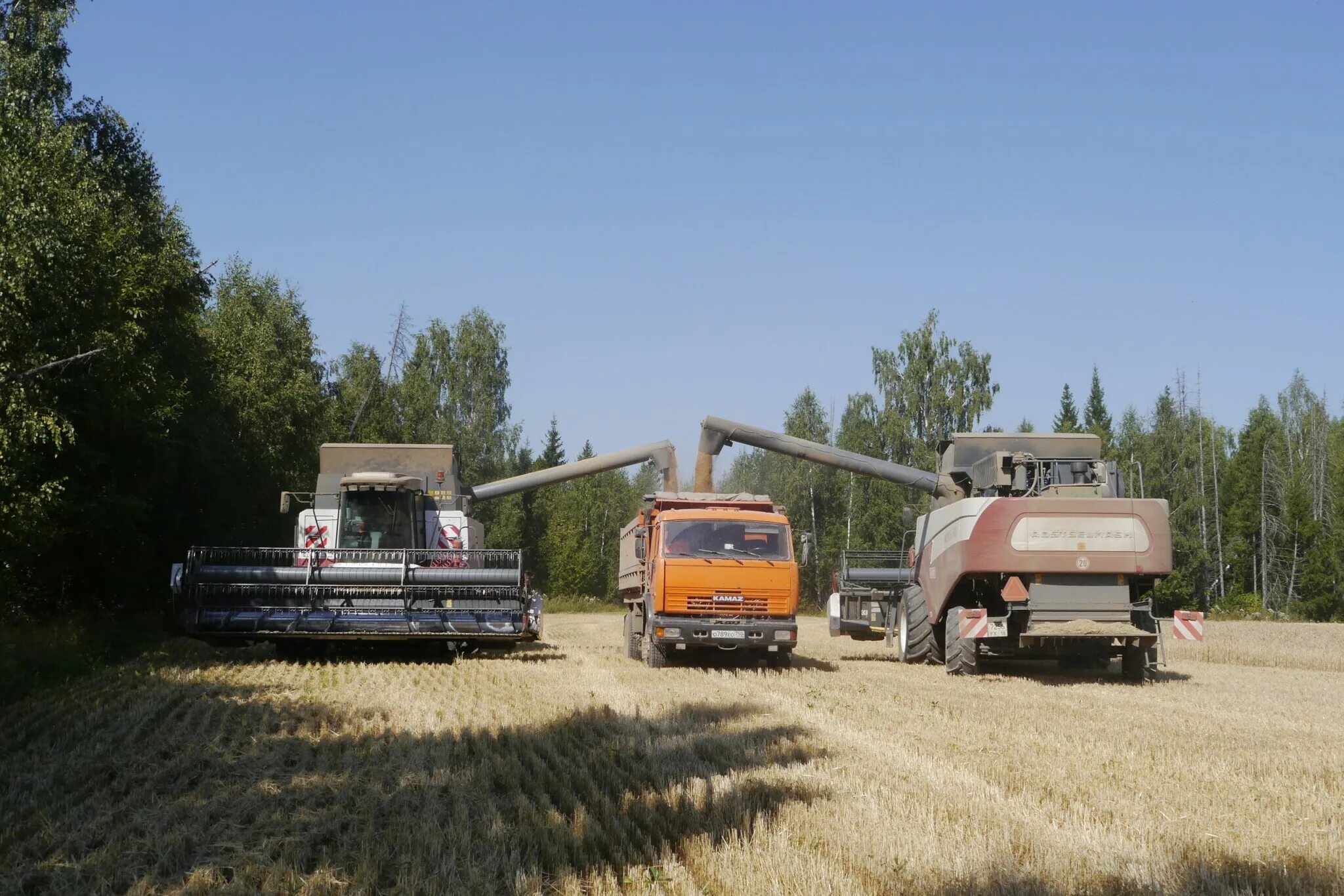 ц 37. варианты компоновки цветочниц.