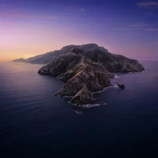 Catalina's