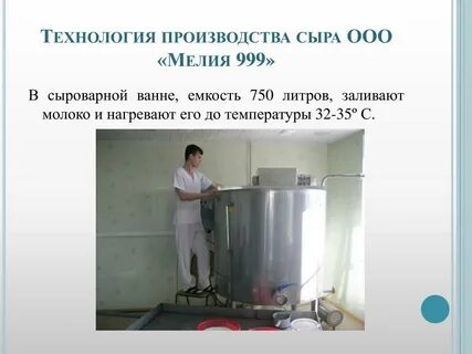 Технология производства сыра