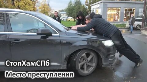 Стоп хам спб свежак 2024