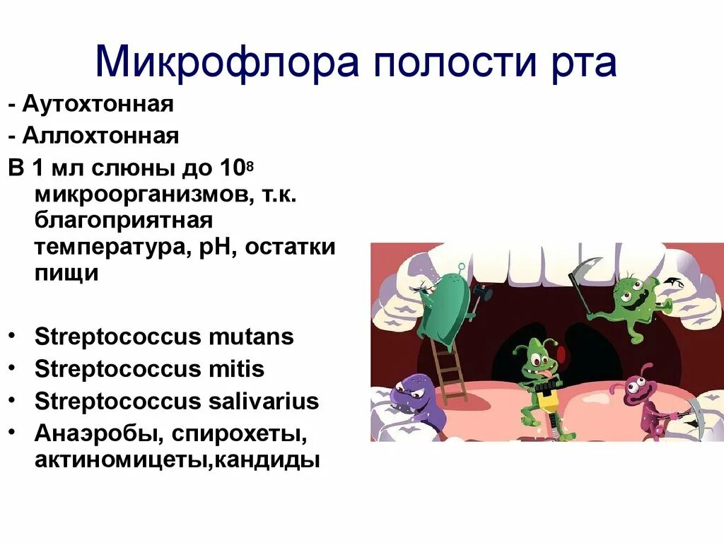 Микроорганизмы полости рта. Микрофлора полостиь Сырта. Микрофлора ротовой полости. Vbrhjakjhмикрофлора полости рта. Микрофлора полости рта микробиология.