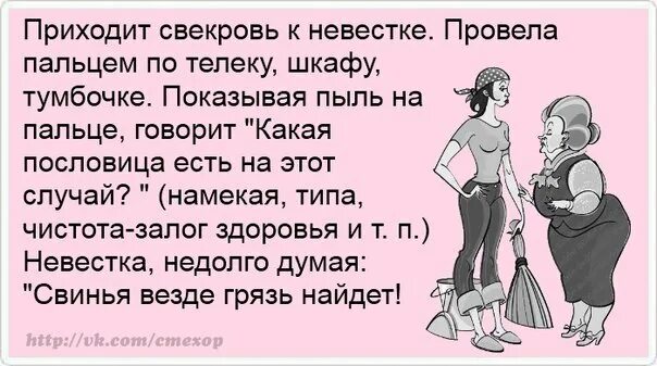 Проверяет свою будущую невестку. Анекдоты про свекровь и невестку. приколы про свекровь. свекровь и невестка приколы. приколы про сноху.