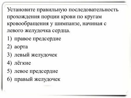 Установите правильную последовательность ограничения
