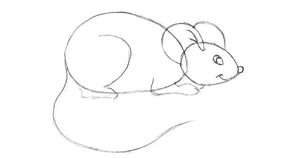 Как легко нарисовать мышку. Мышь рисунок для детей карандашом. Мышь пошаговое рисование. Мышка поэтапное рисование для детей. Мышонок рисунок карандашом.