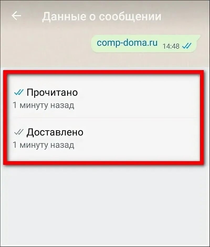 Уведомления в ватсапе. Состоянию message. Смс в вацапе. Графические сокращения. Состоянию message.