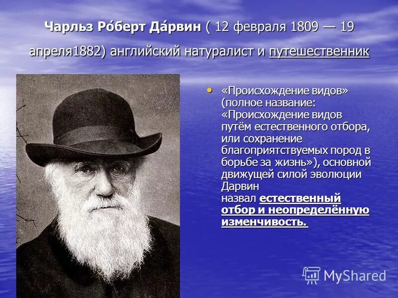 чарльз дарвин об отборе. что дарвин назвал естественным отбором. как понимал дарвин борьбу за существование. раскройте движущие силы эволюции. теория естественного отбора.