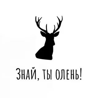 Ак 47 ты олень
