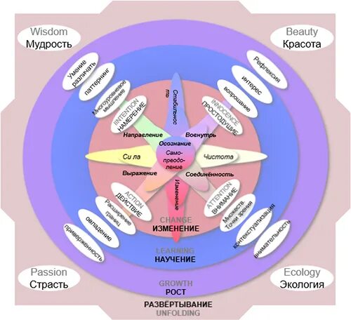 Этапы управленческого консультирования. Т-модель в коучинге. Трансформационный коуч. Трансформационный коучинг. Коуч краснодар.